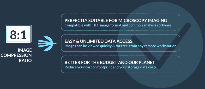 Jetraw Benefits Infography